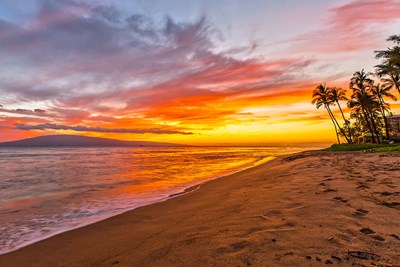 Maui Vacation Guide