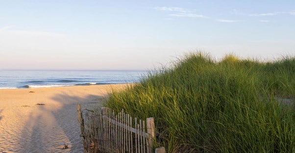 nauset beach