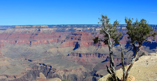 a view down the edge of the Grand Canyon from the South Rim