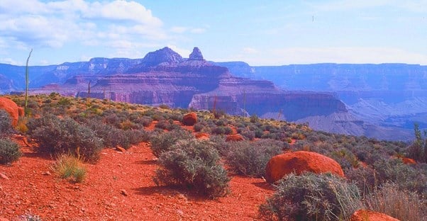 a view of the red dirt edge of the West Rim of the Grand Canyon