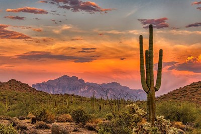 The 20 Worst-Run States in the U.S., Ranked