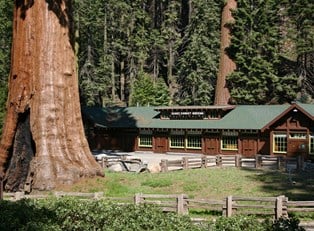 The 5 Most Spectacular Places to Lodge at Yosemite Park
