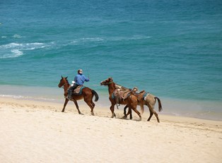 Best Family Attractions and Activities in Cabo