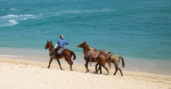 horseback riders stroll down the beach in cabo san lucas