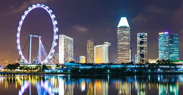 the singapore flyer ferris wheel lights up a park near the singapore harbor