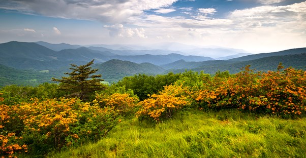 an expansive look at the appalachian mountains along the appalachian trail