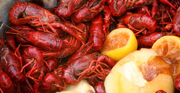 tasty new orleans food and crawfish