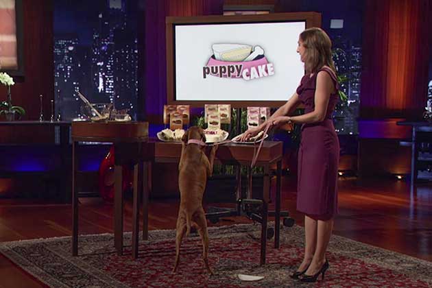 35 Craziest Products Ever Pitched on Shark Tank