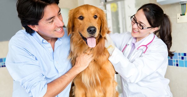 people who followed five tips for a successful vet tech career