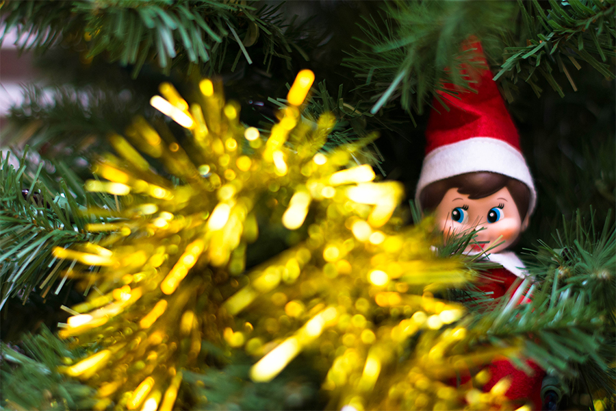 In the Christmas Tree