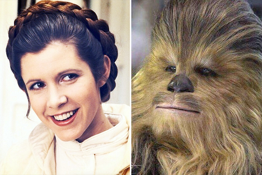 Princess Leia and Chewbacca