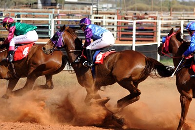 Horse Racing Online: Terms You Need to Know Before You Lay Down Cash