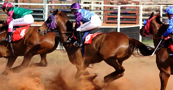 Horse and jockey in horse race