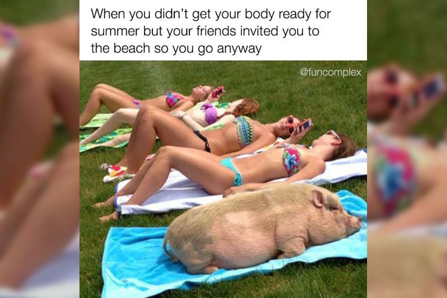 30 Memes That Totally Sum Up Swimsuit Season