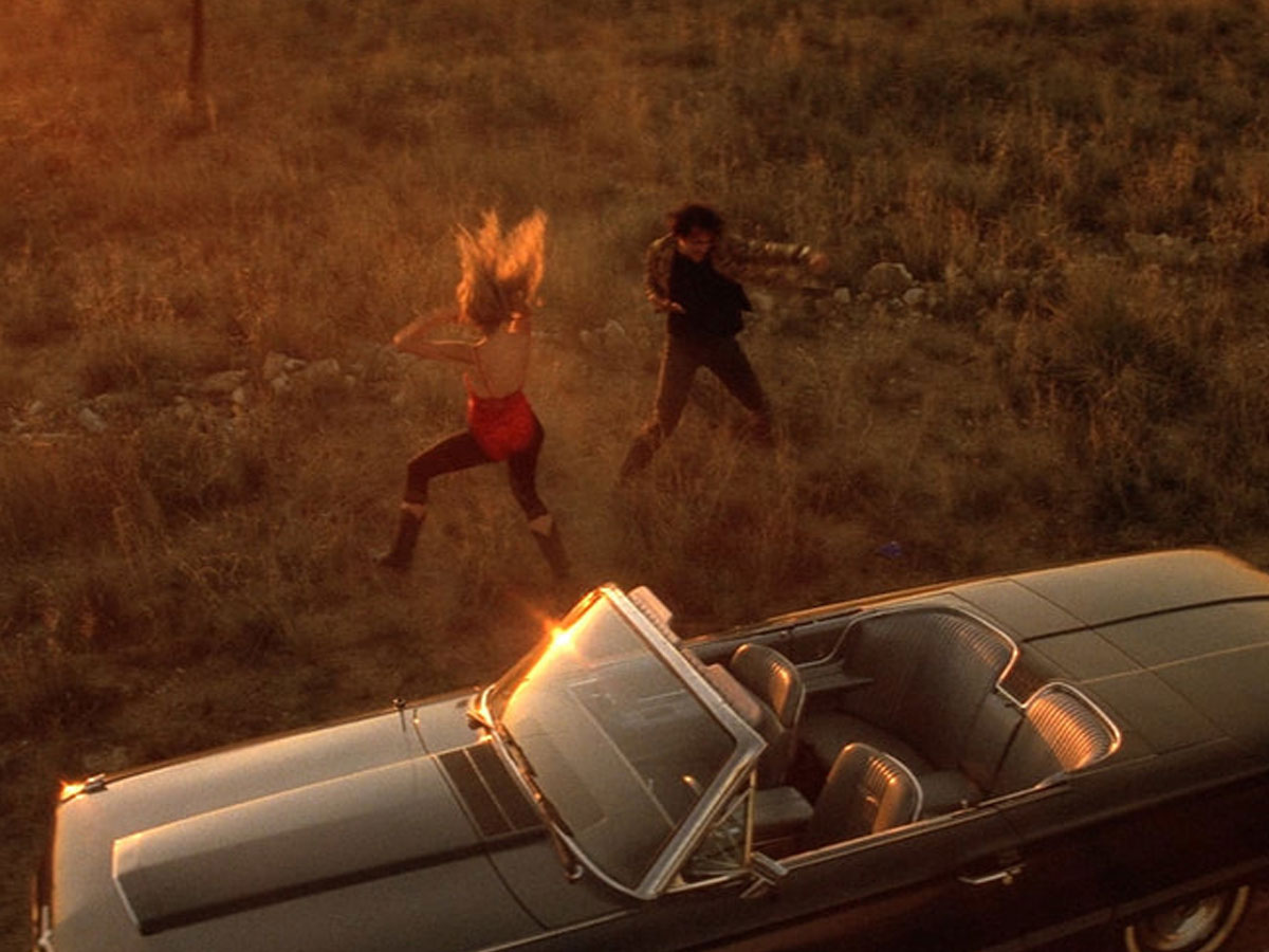 Wild at Heart (1990)