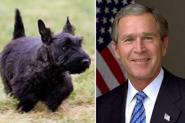George W. Bush – Barney and Miss Beazley the Scottish Terriers