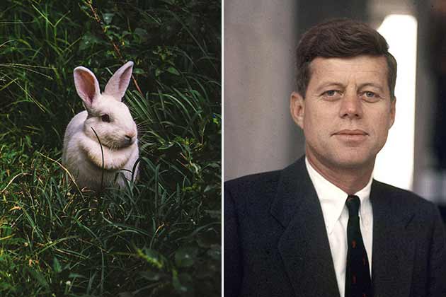 John F. Kennedy – Zsa Zsa the Rabbit