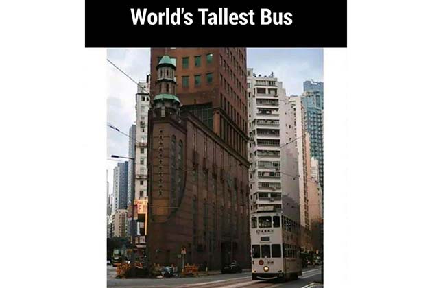 World's Tallest Bus