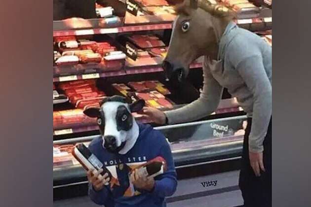 Everyone needs a friend during those dark times in life. 