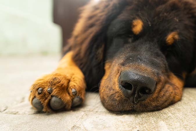 Not What He Seemed to Be