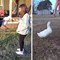 Dorothy the Duck Took This Family Under Her Wing
