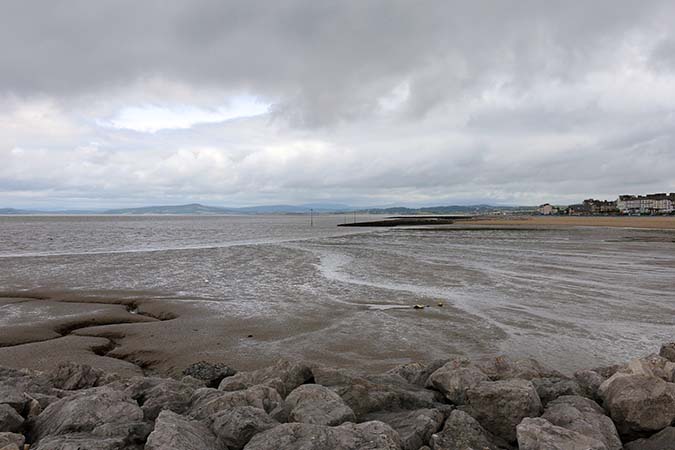 Then They Found Something...