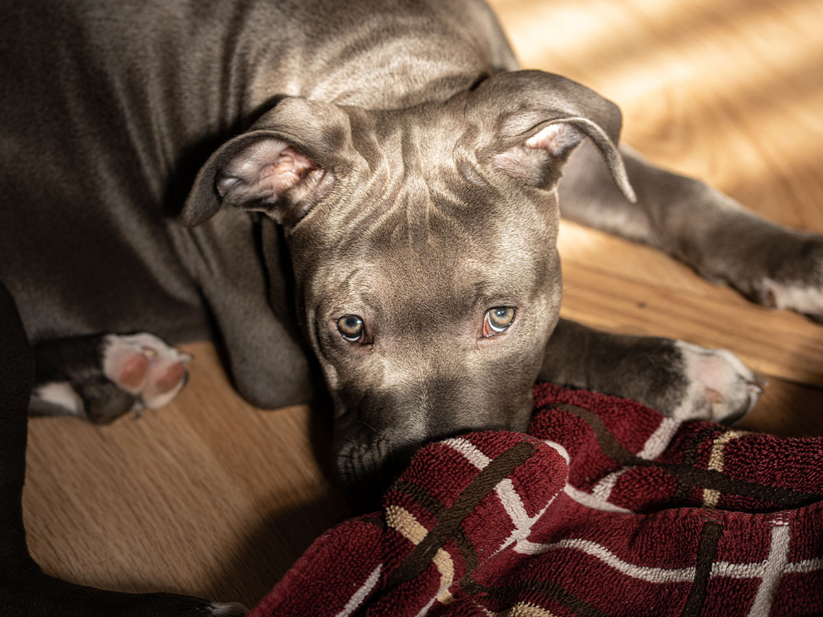 Getting Down to Business