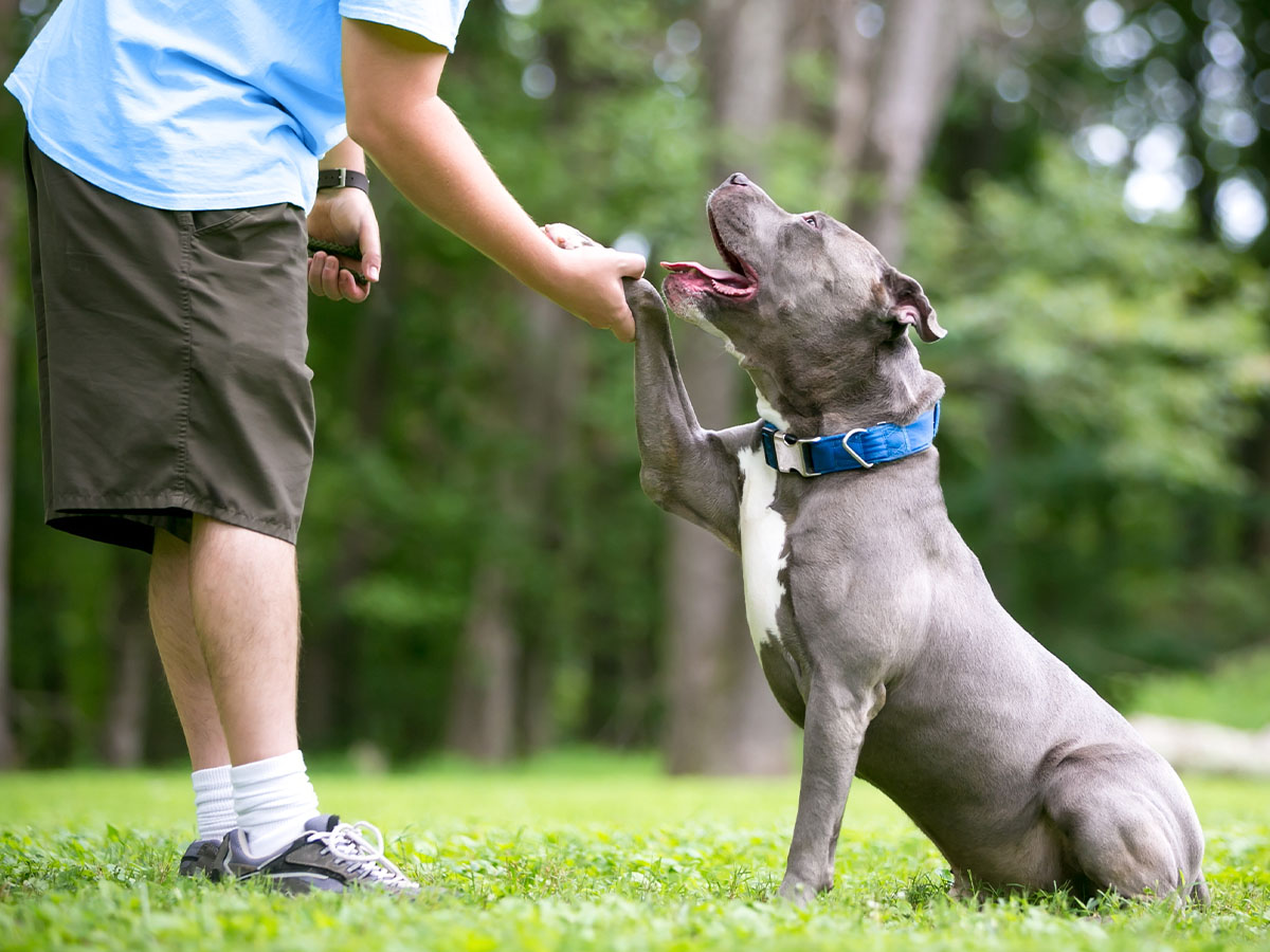 Determination is Key