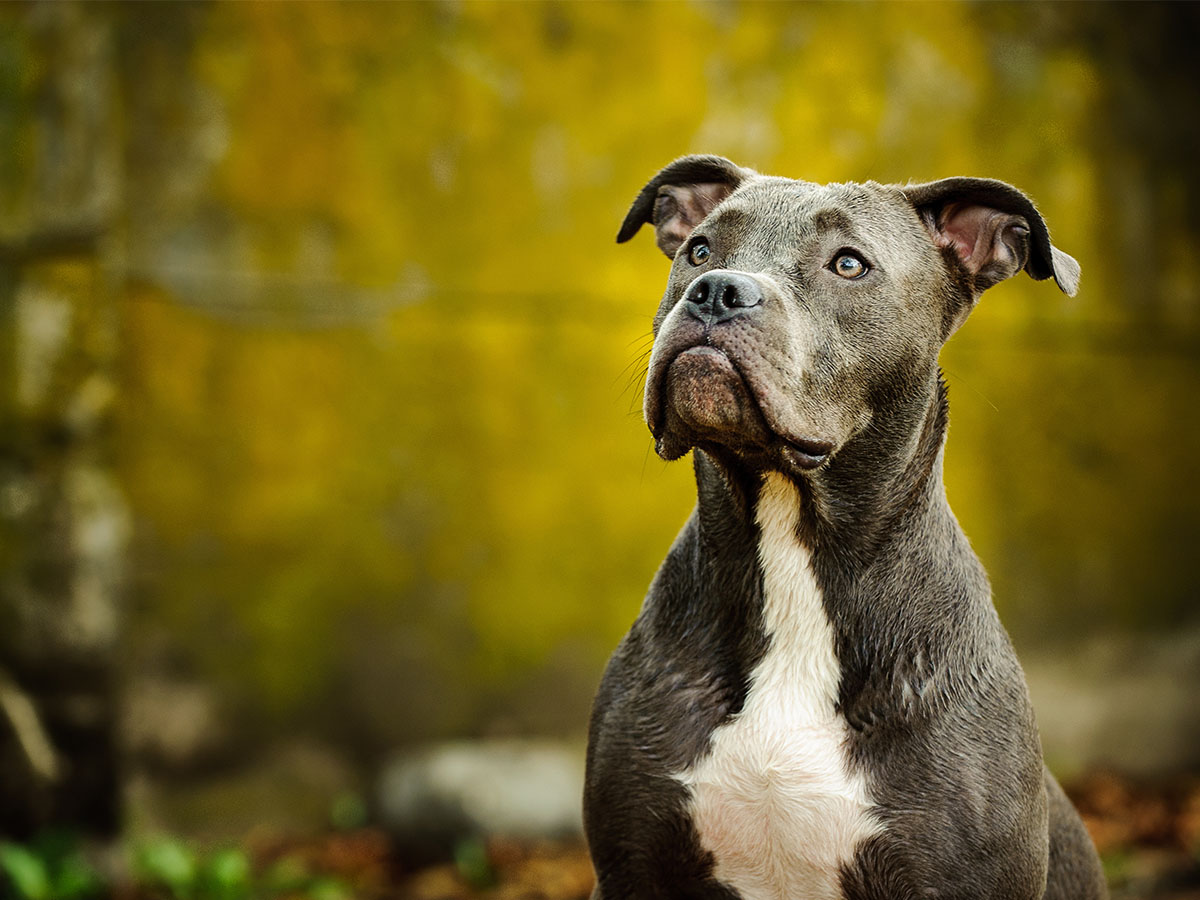 The Beginning of Storie