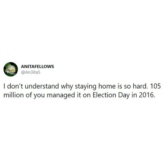 Stay Home Like You Did on Election Day