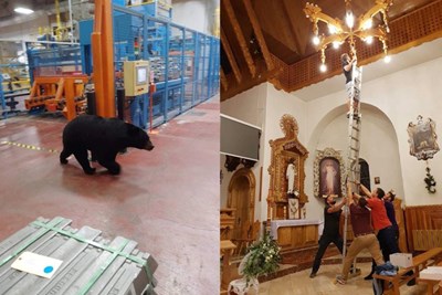 Workplace Fails That Are Definitely an OSHA Violation