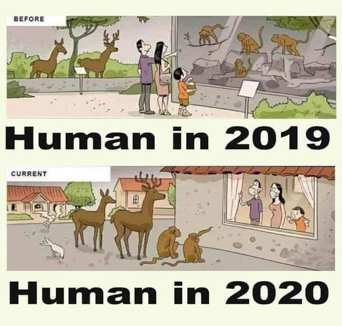 Solitary Confinement