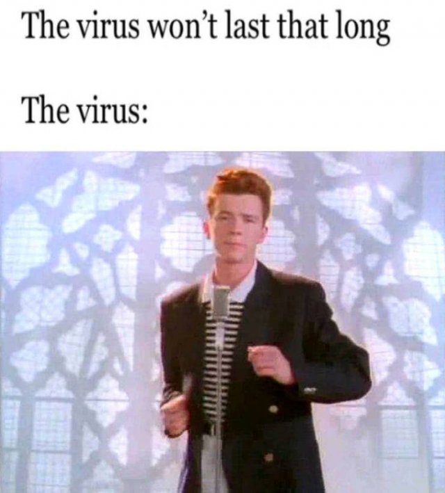  Never Gonna Give This Up