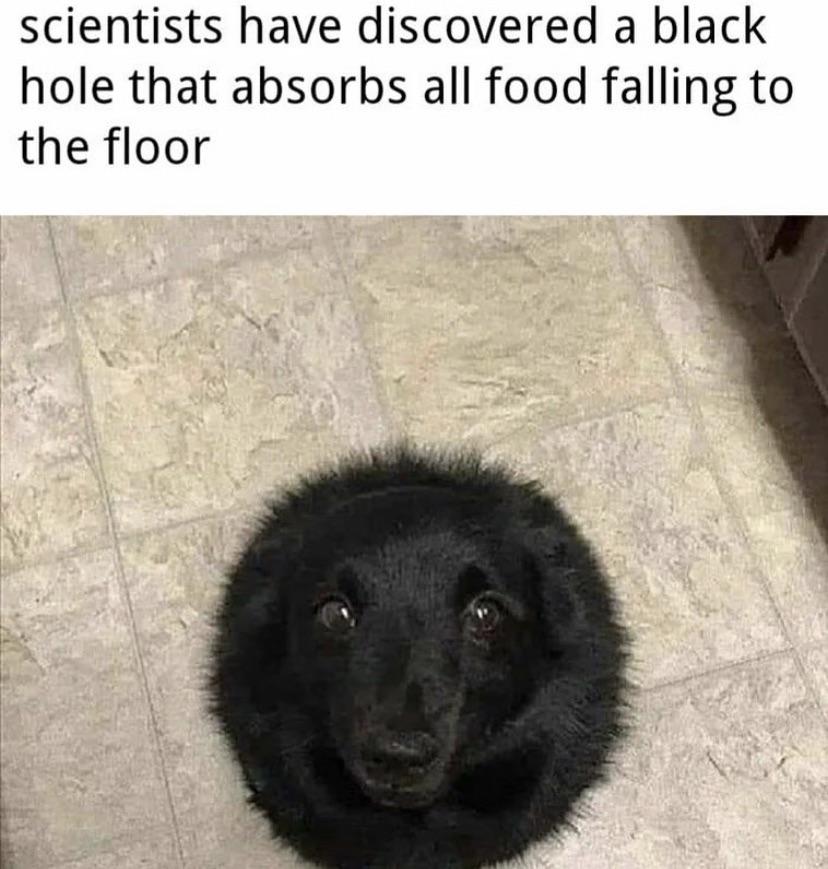Give the Black Hole Boops