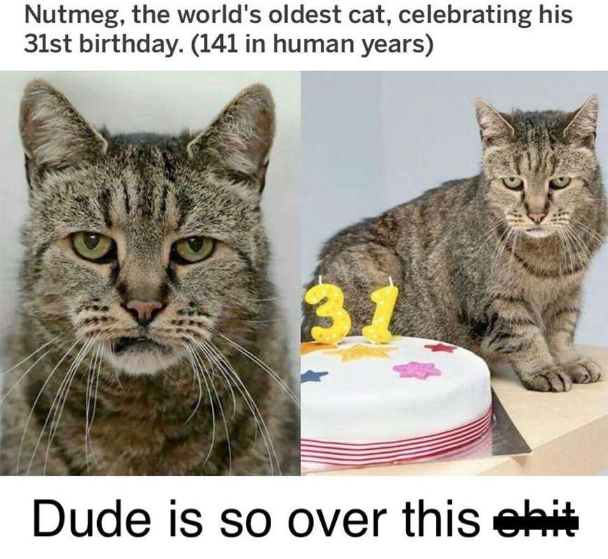 He's Really Seen Some Stuff...