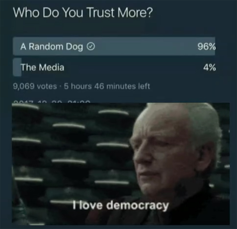 Dogs Are the Bestest of Boys