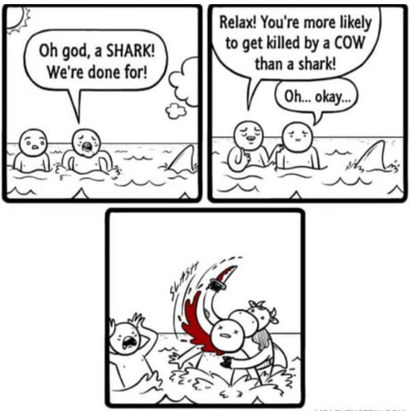 Beware the Majestic Chark