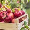 Common Myths and Misconceptions That Still Fool People