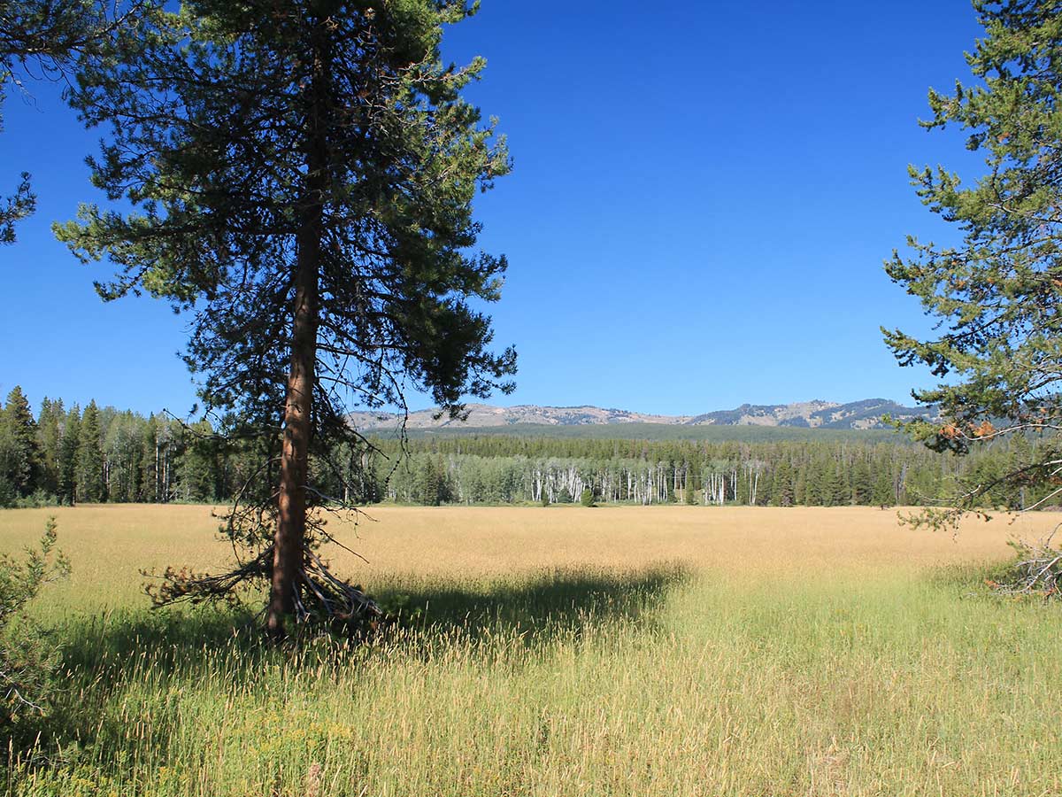 The Real-Life Yellowstone is Just as Exciting as the Show
