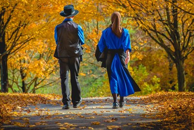 interesting amish facts