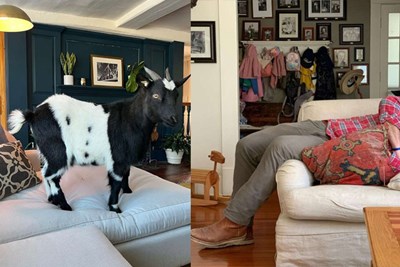 Inside the Homes of HGTV Stars