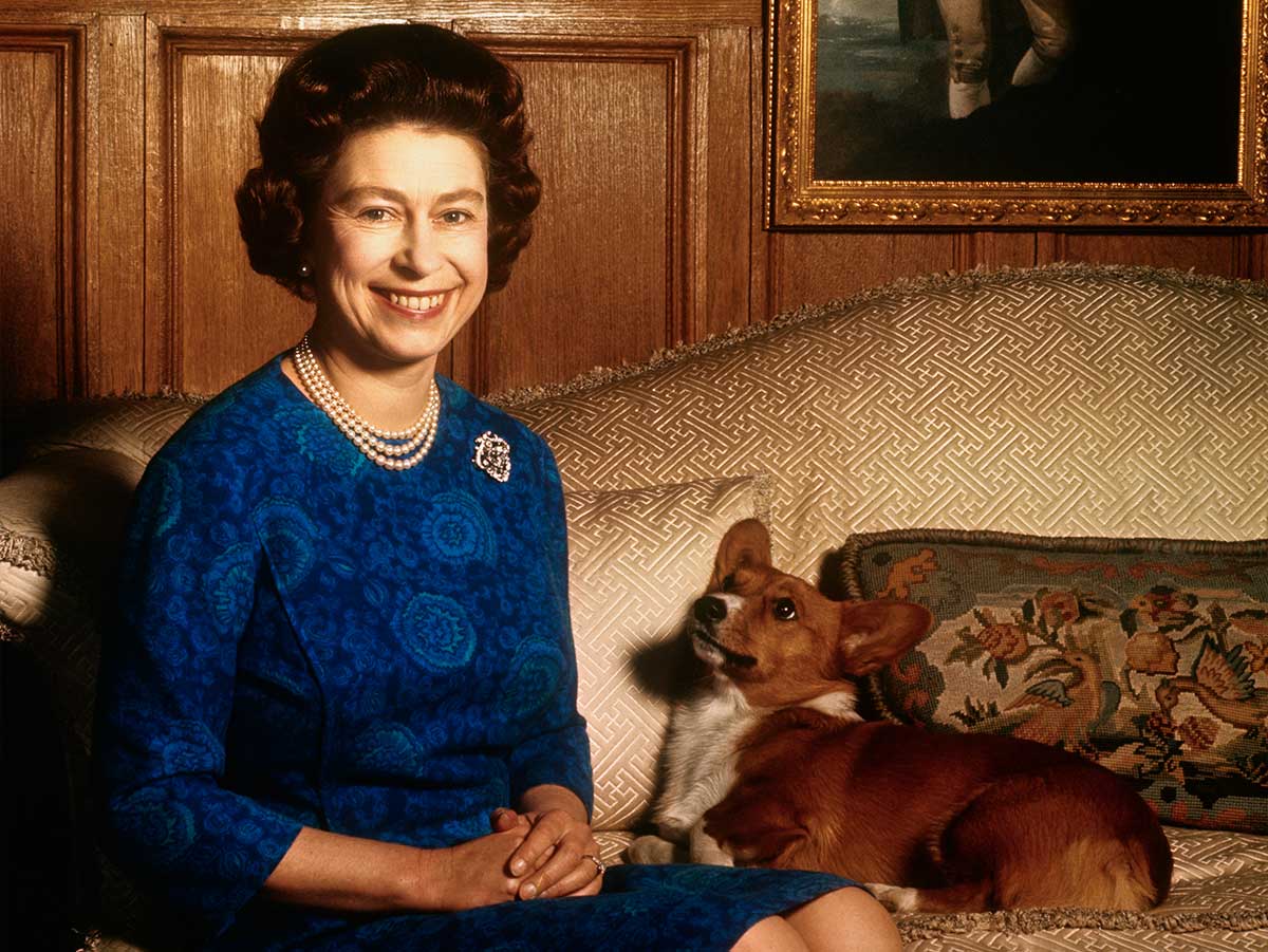 There Has Been at Least 14 Generations of Corgis at Buckingham Palace.