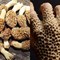 Unexpected Trypophobia Moments That Sent Shivers Down People's Spines