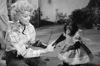 Behind the Scenes of Beverly Hillbillies