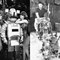 Behind the Scenes of Gilligan's Island