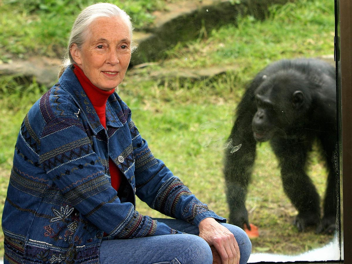 Dame Jane Goodall