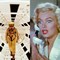 The Biggest Oscar Snubs of All Time