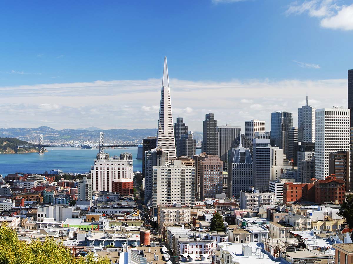 Bridge Behind a City