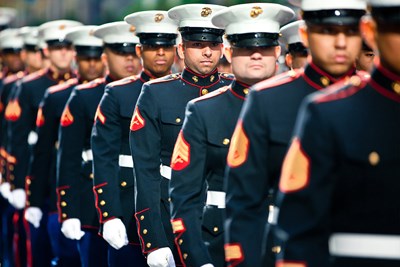 U.S. Military Branches by the Numbers