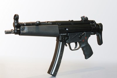 These are the Guns Carried by Federal Agents